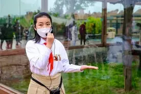 你好“爱鸟周”！|全国多地开展“爱鸟周”宣传活动图片