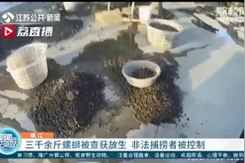 男子因非法捕捞被查获 螺蛳现场称重达三千余斤图片