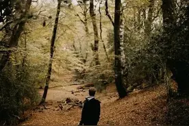 清华贫困生《树洞》中的自述，让我想起初中时代咸菜加米饭的日子图片