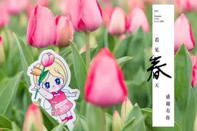 这一次，新湖郁金香深深地开在上海人心底图片