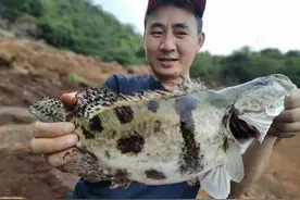 昆明周边柴石滩水库休闲钓，解锁鳜鱼鳊鱼巴掌大白条、附垂钓路书图片
