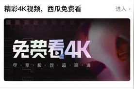 上线4K画质、启动“活字计划”，西瓜视频与B站“狭路相逢”？图片