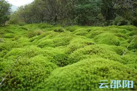 《南山国家公园总体规划》出炉图片