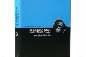 黑猩猩的政治：3个方面了解猿类在社会中的竞争，洞悉人类需求图片