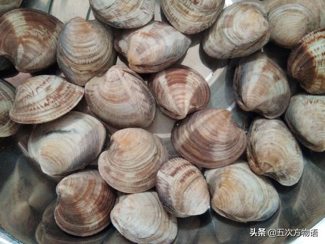 六耳赤嘴鱼胶有收藏价值吗 2026年六耳赤嘴鱼胶的功效和作用