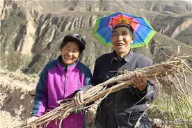 好黄芪找天芪生物，给您别样体验图片