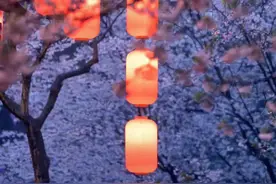 愿你及时迎来回望时的平静图片