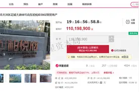广州豪宅1.7亿元拍卖抵债，资本大鳄赖淦锋已四入失信人名单图片