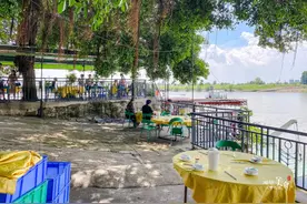 榕树下，渡头上，180°江河美景，顺德这间残旧饭店太写意了图片