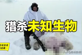15年前，一头被猎杀的未知北极生物，再次揭开了黑萨满传说图片