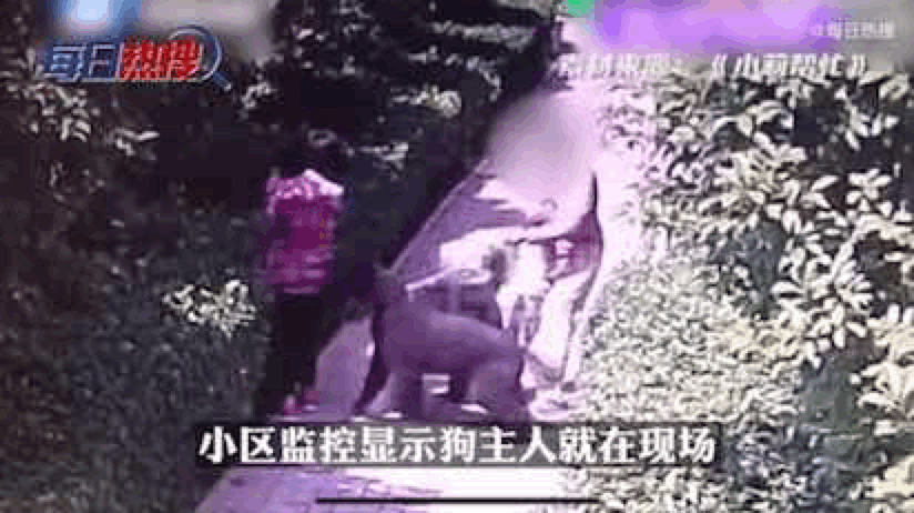 河南八旬老人被猛犬当街撕咬，狗主人气焰嚣张，记者被当场气哭图片