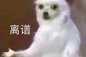 这些专科院校分数也太高了吧！3+证书高职高考考生：就离谱图片