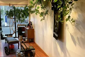 水阻划船机的魅力，纯实木打磨，既能减脂又能欣赏图片