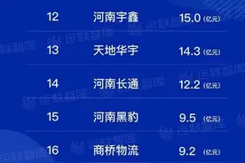 2020中国零担30强出炉！河南6家企业上榜，为史上最多图片