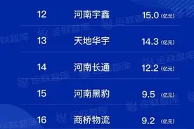 2020中国零担30强出炉！河南6家企业上榜，为史上最多图片