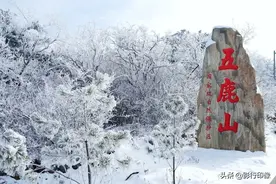 雪天探秘山西蒲县五鹿山国家级自然保护区。图片