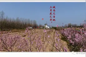 阳春三月， 赴一场诗意小镇的邀约图片