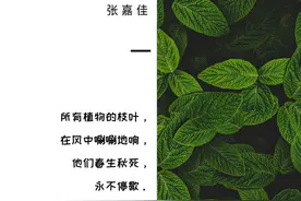 《云边有个小卖部》十句经典句子图片