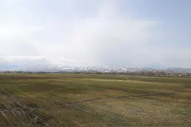 新疆行记_辽阔草原江布拉克，山川听得到你的心跳，宁静而旷远图片