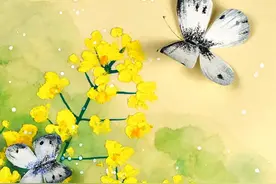 儿童画教程｜油画棒画《金灿灿的油菜花》图片