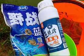 野战蓝鲫的优缺点图片