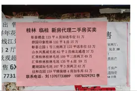 为什么临桂的房子这么便宜？图片