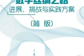 万字好文剖析王毅强调“数字丝绸之路”深意图片