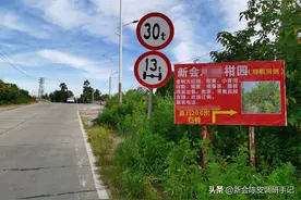 “被人为消灭”的陈皮产区：“礼乐”是新会陈皮的“隐藏宝藏”？图片