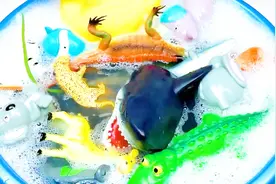 幼儿益智玩具，用泡泡水盆里的玩具为孩子学习动物的名字和颜色视频封面