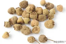 每日医药——覆盆子图片