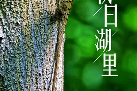 邂逅秋日厦门，遇见最美的ta！图片