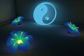 金蝉花，食疗治病两相宜图片