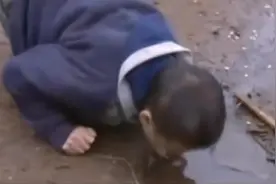 抓到鸡鸭就生吃的恐怖小狼孩图片