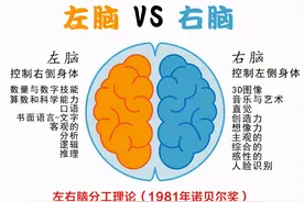 3-6岁是右脑发育黄金期，4个方法助娃养成“超强大脑”图片