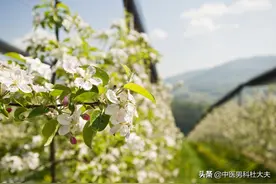 前列腺炎的症状到底有哪些？你知道吗？图片