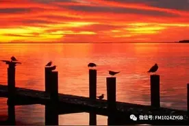 《书香长安》经典诵读——《海滨仲夏夜》图片
