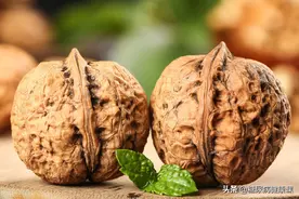 三高至宝实至名归，小核桃发挥大作用？经常吃竟然有这些神奇效果图片