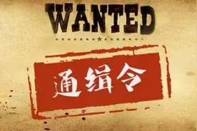 “红通人员”想运作回国，中间商层层转包被索2亿劳务费，最终协调人仅与市检察长合了个影图片