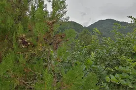 秋游双乳山，古道观里空无一人，我在恐惧中仿佛穿越到古代图片