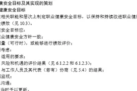 ISO45001-2018标准管理应用解析-6.2.1职业健康安全目标图片