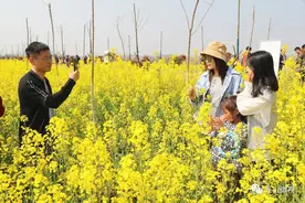 美醉了！光山县第四届仙居油菜花文化节开幕啦！图片
