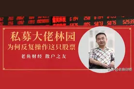 私募大佬林园唯一重仓股：多次加仓至8.6亿图片