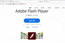 赚钱可以，但是请保留一点底线。Flash Player插件中国地区特供版图片