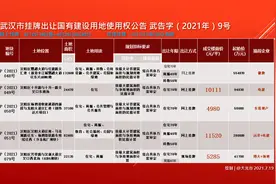 汉阳核心地段还是光谷中心城图片