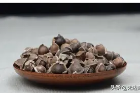 食材科普：辣木籽有假的吗、吃辣木籽的反应图片