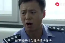律师提醒：投喂流浪猫狗——是爱心？是祸端？图片