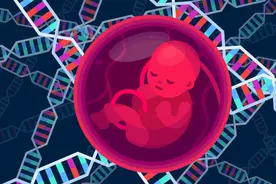 通过基因评分挑选更聪明健康的孩子，这符合伦理吗？安全吗？图片