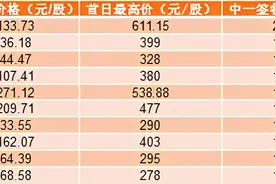 中一签赚23.87万元！科创板第一大“肉签”宝座易主图片