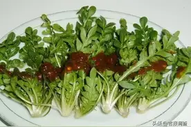 正是野菜上市时！两千多年前就被推崇的荠菜上桌——“海陆八珍可厌也”……图片