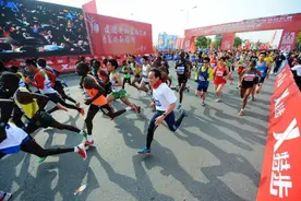 全国第一！“金标扬马”又双叒叕获奖啦！图片